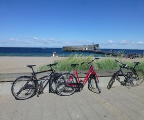 Cycle Copenhagen and surrounding areas where the Danes go