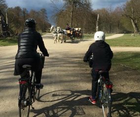 Cycle the paths where the Danes prefer to relax