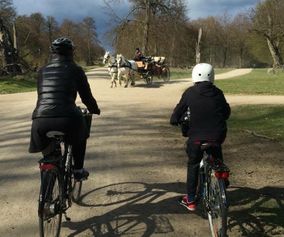Cycle the paths where the Danes prefer to relax