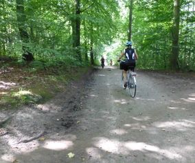 Family cycling holidays island of Møn. Ride forest trails.