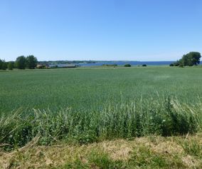 Explore island of Møn by bike