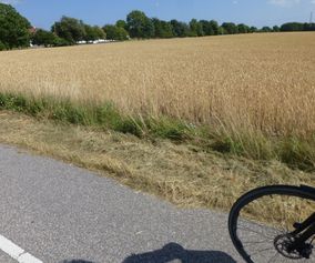 Biking the peaceful countryside on island of Møn Denmark