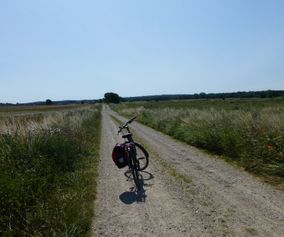 Explore Danish countryside on your bike tour in Denmark