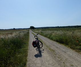 Explore Danish countryside on your bike tour in Denmark