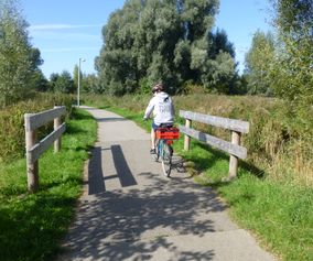 Explore Danish countryside on bike trip to North Zealand